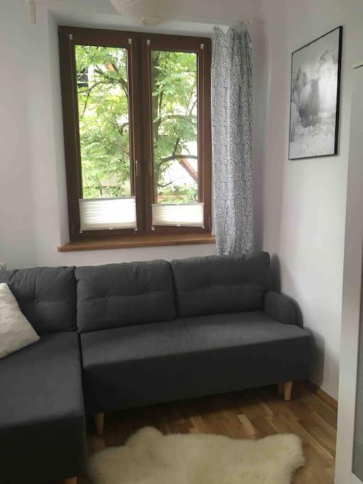 Apartment Blisko Milo Ladnie W Centrum Zakopanego Zakopane